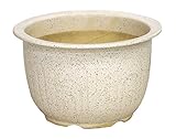 ウズラカブト 9号 信楽焼　植木鉢　ガーデニング　陶器鉢