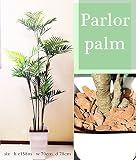 限定100本限り パーラーパーム 大型観葉植物 フェイクグリーン スタイリッシュ 高さ135cm 消臭/除菌/枯れません お手入れ不要/CT触媒加工/衛生的/アジアン リゾート風/ 代引き不可 白蜂 