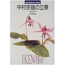 Amazon.co.jp: やさしい立華―池坊 : 中村 宗雄: 本