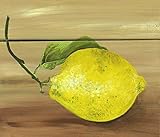 912962 – 親 19 x 16 Art Print ベージュ P912962-0160000