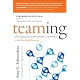 Teaming: How Organizations Learn, Innovate, and Compete in the Knowledge Economy (English Edition)
