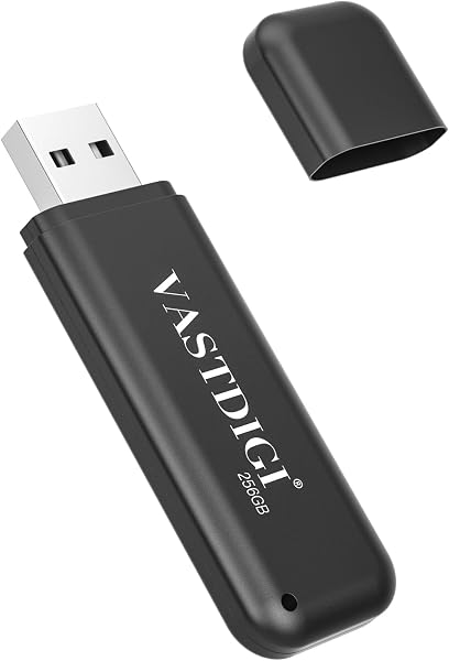 VASTDIGI 256GB USBメモリ フラッシュドライブ 小型 軽量 超高速データ転送 大容量 読取り最大15MB/s キャップ式 USBメモリースティック データ転送 Windows PCに対応 - 1