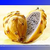 家宝イエロードラゴンフルーツハイブリッドピタヤ種子、プロフェッショナルパック、50種子/パックは、ボディのためのリッチ栄養の安全性が含まれています
