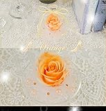 プリザーブドフラワー スワロフスキー＆グラーデションローズ (オレンジ)