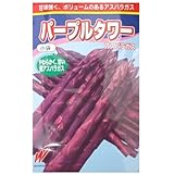 パープルタワーアスパラガス 渡辺農事のアスパラガス品種です。