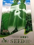 【 珍種子】 緑色大根 (50粒入)