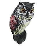 Evergreen ぎょろりと光る目 リアル 首振りフクロウ 鳥を怖がらせる 鳥対策 鳩対策 風で頭が揺れる