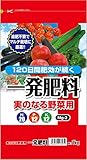 サンガーデン 一発肥料 果菜類専用20-12-12-2 1kg