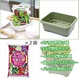 イタリア野菜の種 サラダ栽培セット(グリーン) 家庭菜園