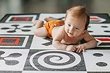 Prince Lionheart Develop Mat Shapes, Farm [並行輸入品]