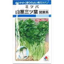 Amazon.co.jp: みつば 種子 白茎三ツ葉（関東系） 4ml : 食品・飲料・お酒