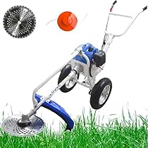 51qTGi5LkLL._AC_UL210_SR210,