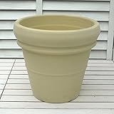 アンティーク リムポット ３７ｃｍ ホワイトの植木鉢 大型 イタリア製 テラコッタ 素焼き鉢 陶器鉢 園芸 ガーデニング デローマ社