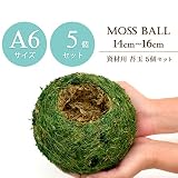 【資材苔玉Ａ６サイズ】資材苔玉　14～16cmの苔玉 (5個セット)