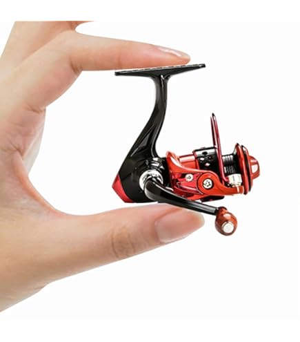 アキュレート Valiant 500NL（左ハンドル） ピンク アキュレート Valiant 500NL（左ハンドル） ピンク 2024年アーガイル