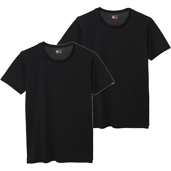 リアルヘッド Tシャツ 2枚セット ハードバード 吊り生地 Tシャツ HB-TKT-002 | THE FLAT HEAD