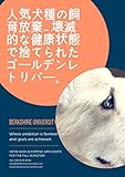 人気犬種の飼育放棄… 壊滅的な健康状態で捨てられたゴールデンレトリバー。
