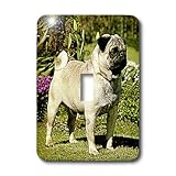 lsp _ 498 _ 1犬パグ – Fawn Pug – 照明スイッチカバー – シングルトグルスイッチ