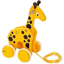 51qUlTt5M-L._AC_UL210_SR210,