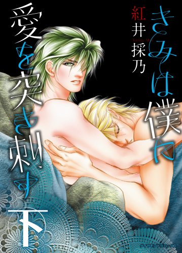 きみは僕に愛を突き刺