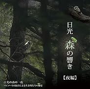 日光 森の響き【夜編】