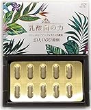 エピエ epier FLORA COLLECTION 乳酸菌の力 20,000(2兆)個 250mg×60粒