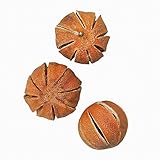 東京堂 ドライフラワー マンダリン ホール (3コ入り) ナチュラル DE018904