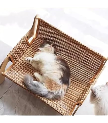 PET BED 猫用ソファ 爪とぎ付き 木製 Amazon | 猫用爪とぎベッド つめとぎ 猫 ソファ型 双層爪研ぎベッド 2
