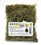 モス山形 苔玉手作りセット ハイゴケ 14cmX12cm CRA-8 緑