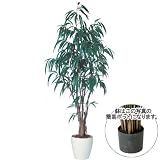 エフプランター 人工観葉植物-ショウナンゴム-210-5号鉢-簡易ポット