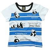 《初夏盛夏対応》DODOMPA(ドドンパ) ボーダーパンダ天竺半袖Tシャツ 100cm /オフブルー NO.F-974045
