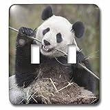 3drose LSP _ 132354 _ 2中国、Wolong、Giant Panda Bear Eating竹as07 aga0009アリスガーランドライトスイッチカバー