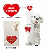 母の日用ギフトパッケージ　ガラス花瓶持ちドッグ　マルチーズ
