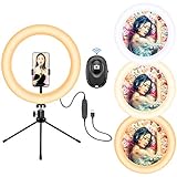 toluvcsy LEDリングライト10inリングライト 撮影用定常光ライト 自撮りライト 撮影照明用ライト USB式 3色モード 10段階