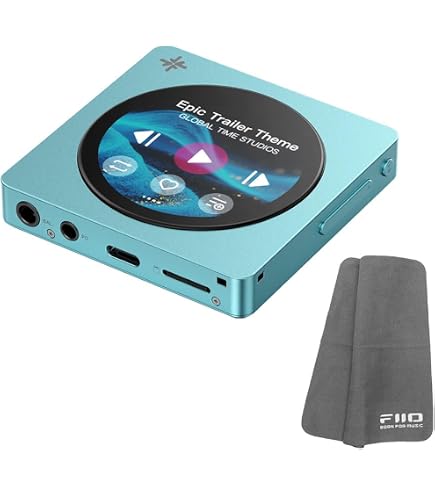 Amazon.co.jp: FIIO Snowsky DISC FIO-SSDISC【日本正規品・シリアル
