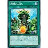Amazon Co Jp 遊戯王 Prio Jp021 R 森羅の賢樹シャーマン Rare ホビー 通販