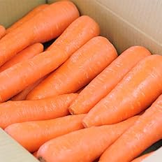Amazon ピカイチ野菜くん 訳あり にんじん 5kg 農薬 化学肥料不使用 人参 規格外 ジュース用 不揃い ピカイチ野菜くん にんじん 通販 Amazon ピカイチ野菜くん 訳あり にんじん 5kg 農薬 化学肥料不使用 人参 規格外 ジュース用 不揃い ピカイチ野菜くん にんじん 通販