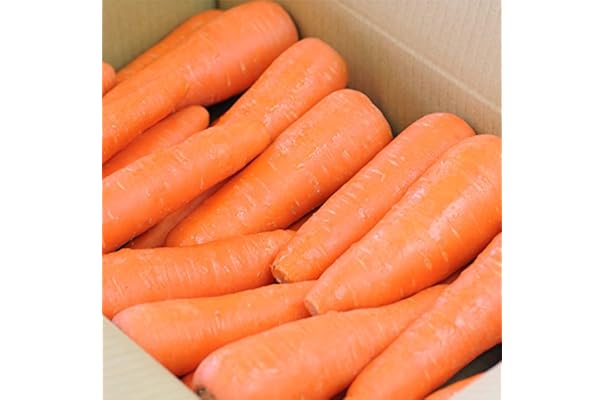 Amazon Co Jp 売れ筋ランキング にんじん の中で最も人気のある商品です Amazon Co Jp 売れ筋ランキング にんじん の中で最も人気のある商品です