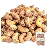 カシューナッツ 1kg ベトナム産 ナッツ 塩味 皮付き お菓子 おやつ 食品