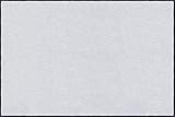 日本製 クリーンテックス・ジャパン(Kleen-Tex) 万能玄関マット スタンダードマットS ホワイト 120×300cm AM00225