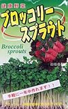 ブロッコリースプラウト（種）20ml　3袋セット
