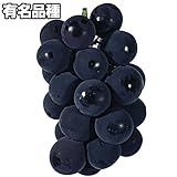 国華園　果樹苗　ブドウ　巨峰　1株【※発送が国華園からの場合のみ正規品です】