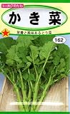 【種子】 かき菜 トーホクのタネ