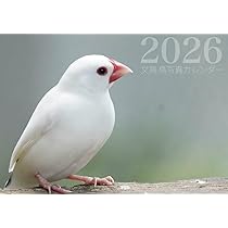 Amazon.co.jp: 文鳥・鳥写真カレンダー2026 B6サイズ。ワンタッチで