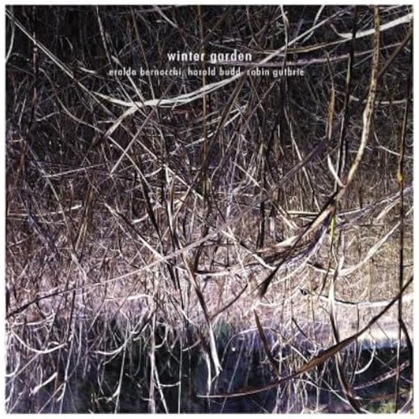 洋楽 robin&harold budd/ after the night falls Robin Guthrie, Harold Budd – After The Night Falls