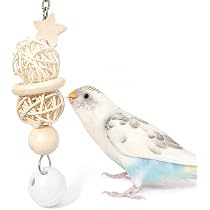 Amazon | インコ かじりおもちゃ 約15cm 日本製 天然木 セキセイインコ