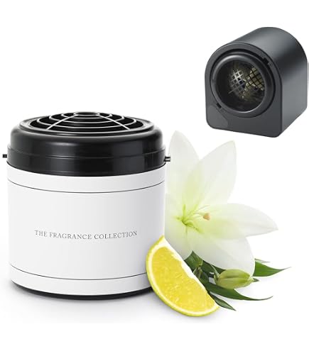 Amazon.co.jp: The Ritz-Carlton キャンドル - アメリア島 - 静かな水
