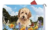 Goldendoodleブロンド – Best of Breed Dog Breedメールボックスカバー