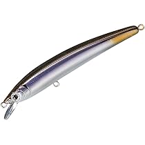 Amazon.co.jp: スミス(SMITH LTD) ミノー DDパニッシュエリア F