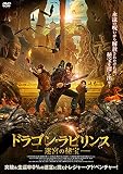 ドラゴン・ラビリンス 迷宮の秘宝 [DVD]